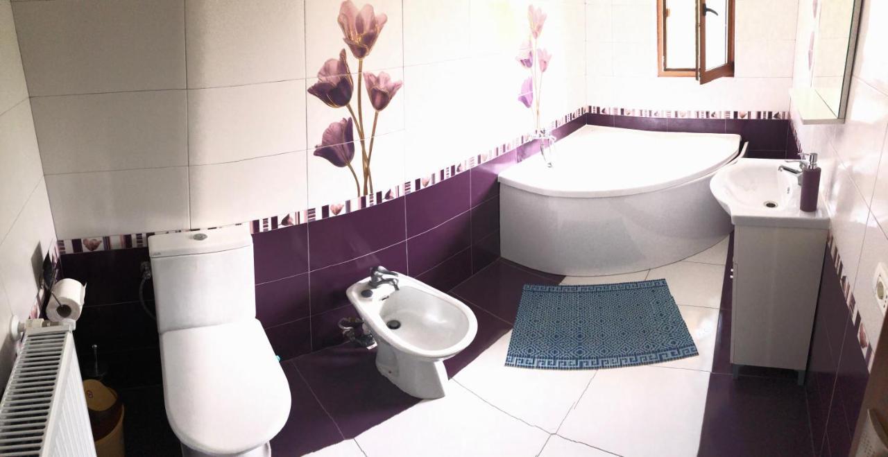 ホテルCasa Ardeleana Ucea Ucea de Sus エクステリア 写真